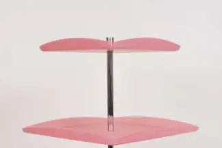 Evolutes — photo 3