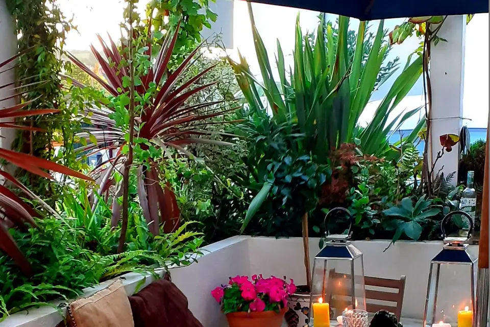 Hortibus — photo 1