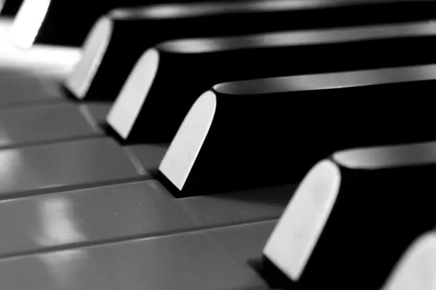 Loup Clerc - Pianiste — photo 6