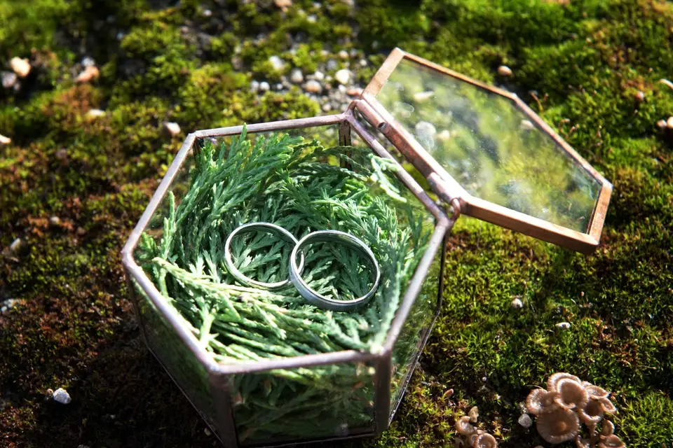 Adeline Melliez Photographe — photo 8