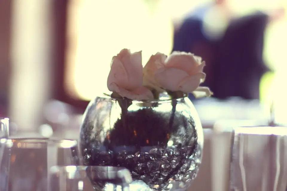 Bulle intérieure — photo 1