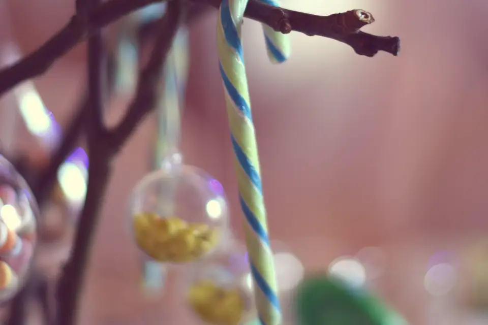 Bulle intérieure — photo 7