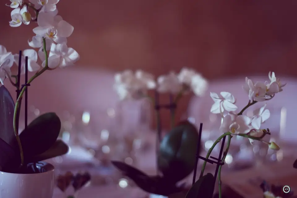 Bulle intérieure — photo 8