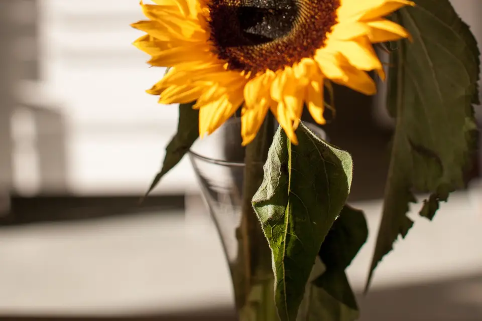 Tantdelumiere-photographie — photo 5