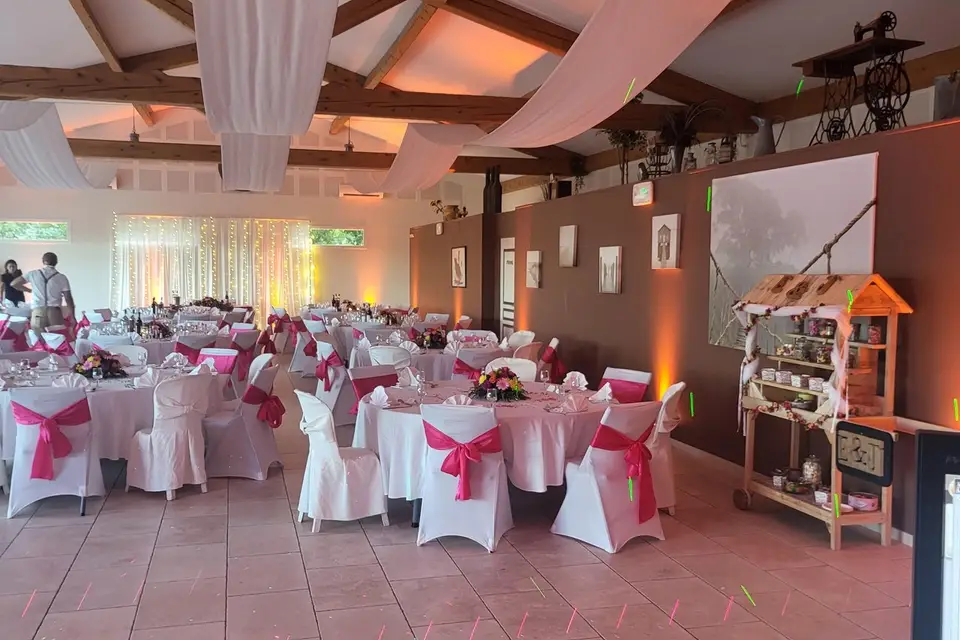 Clanimations — photo 4