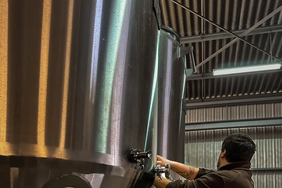 Brasserie Les 2 Ours — photo 4