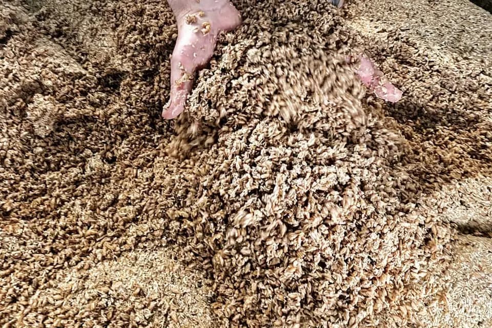 Brasserie Les 2 Ours — photo 5