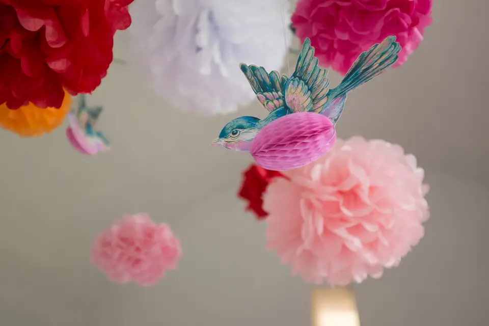 Julie Captures — photo 2