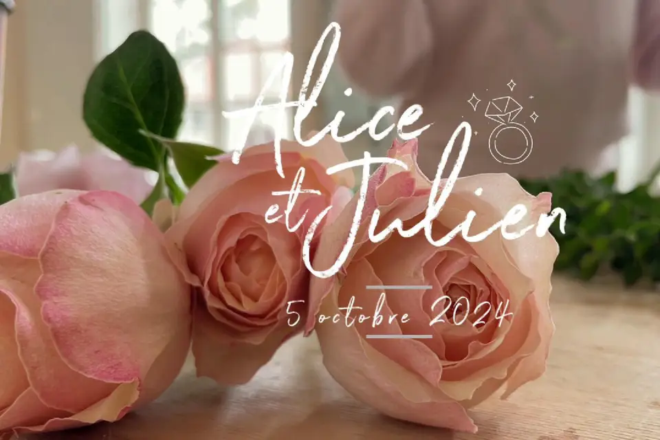 Julie Captures — photo 1