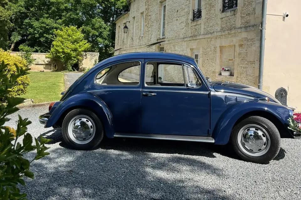 Domaine du Grand Fort — photo 8