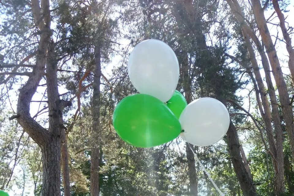 Instants Hautes-Alpes - Le Brudou — photo 7