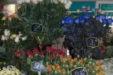 Midi Fleurs — photo 4