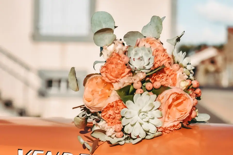 Mille et une images photographie — photo 1