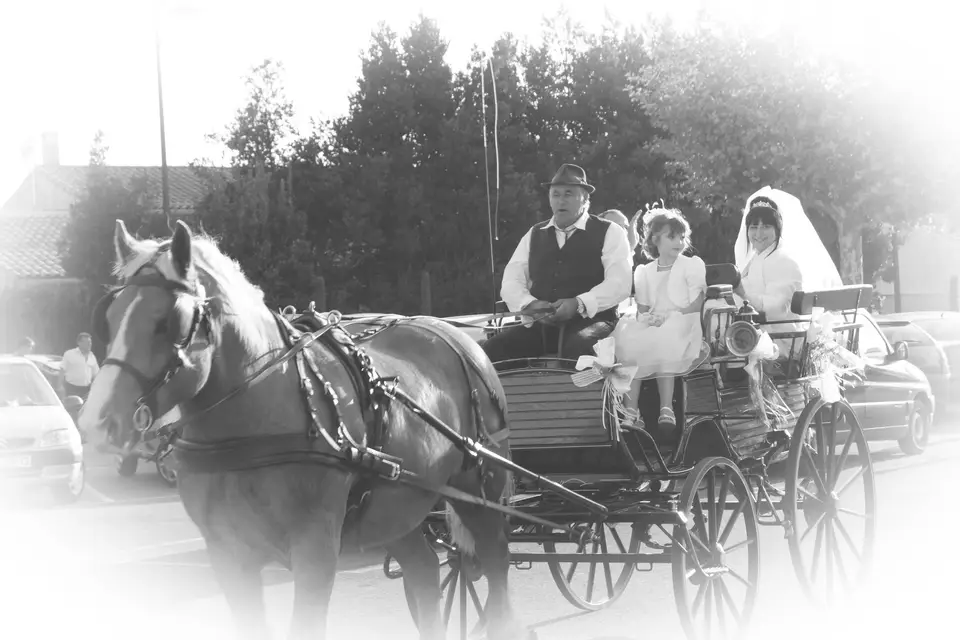 Zen'It Production — photo 2