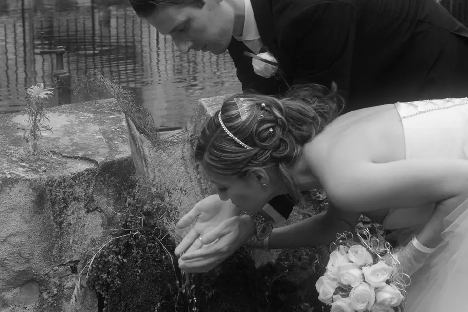 Zen'It Production — photo 6