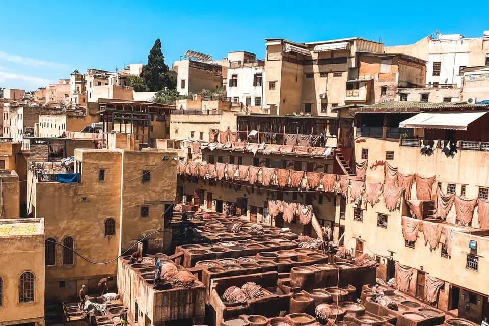 Solsea Escapes — photo 5