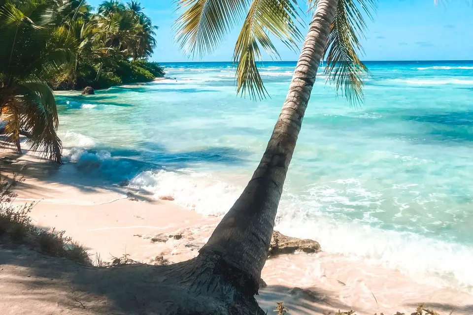 Solsea Escapes — photo 4