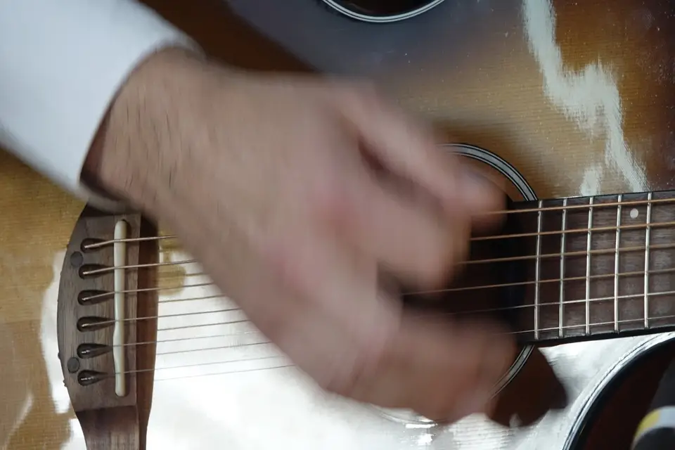 ED Music — photo 1