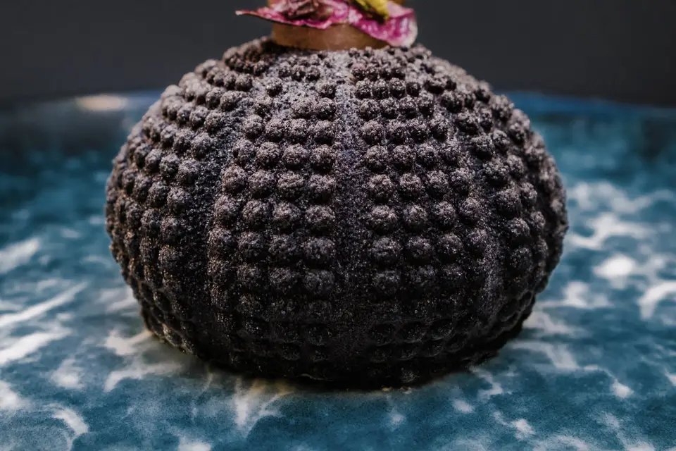 Théo Chéreau Pâtisserie — photo 4