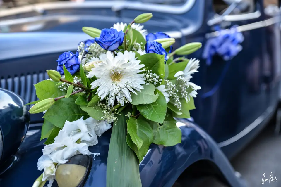 AmoPhoto — photo 8