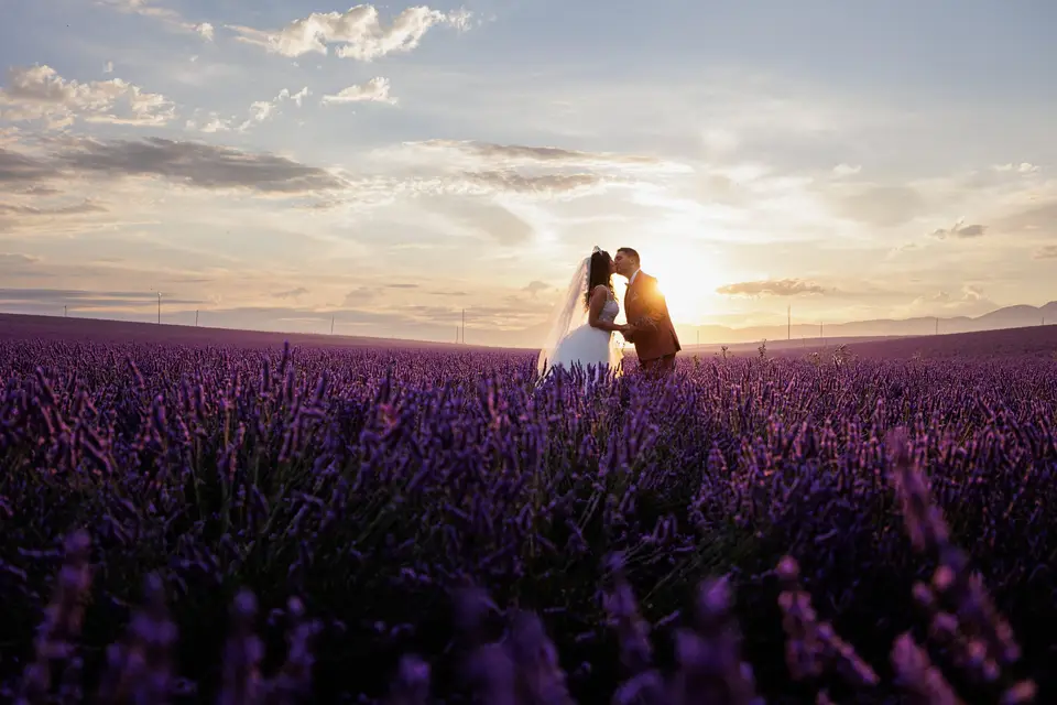 Photocea — photo 3