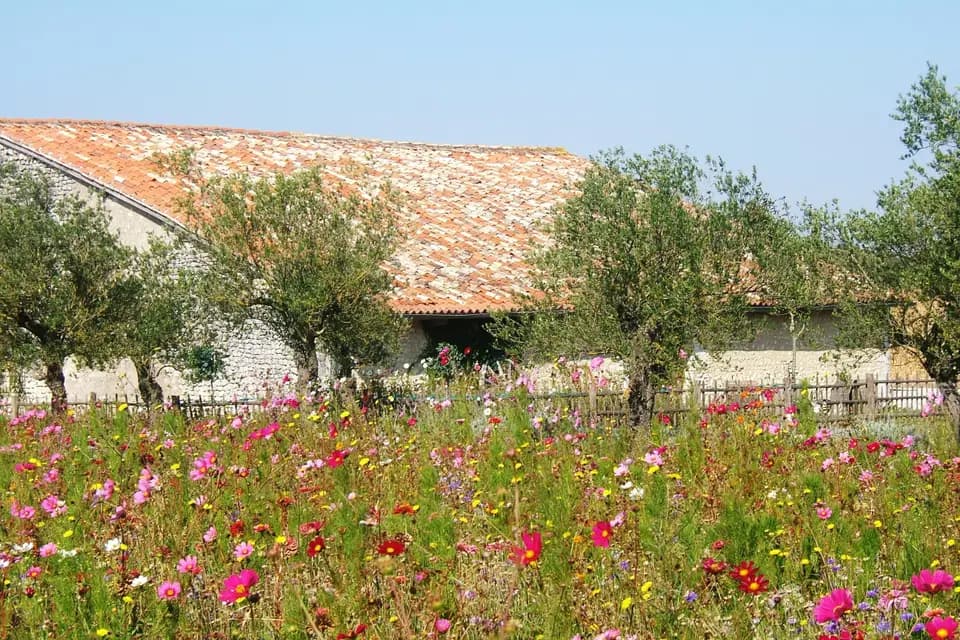 Le Grenier des Saveurs — photo 6