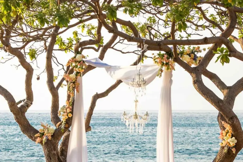 Elodie Sokol — photo 3