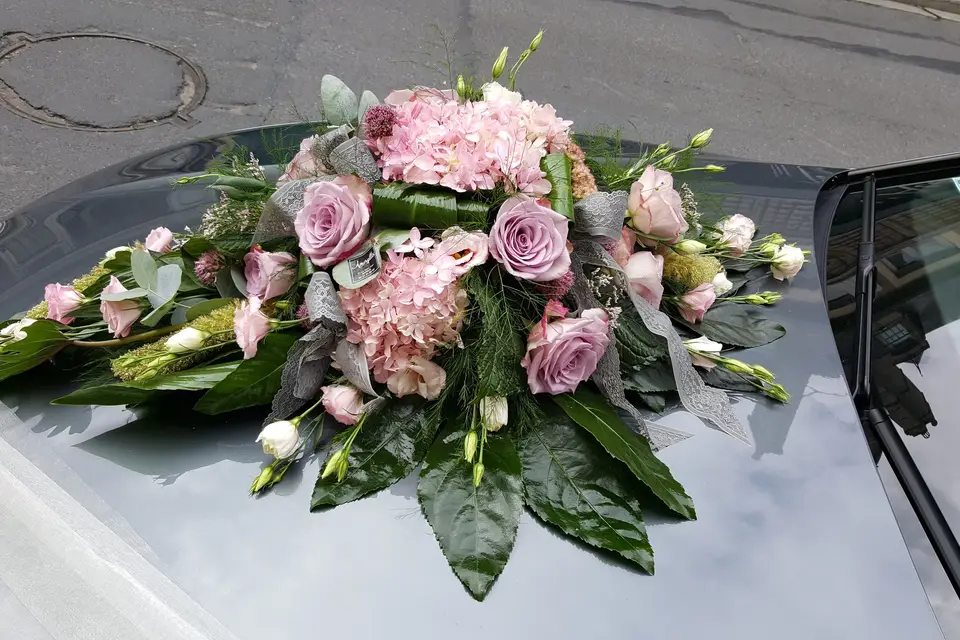 Amaryllis — photo 5