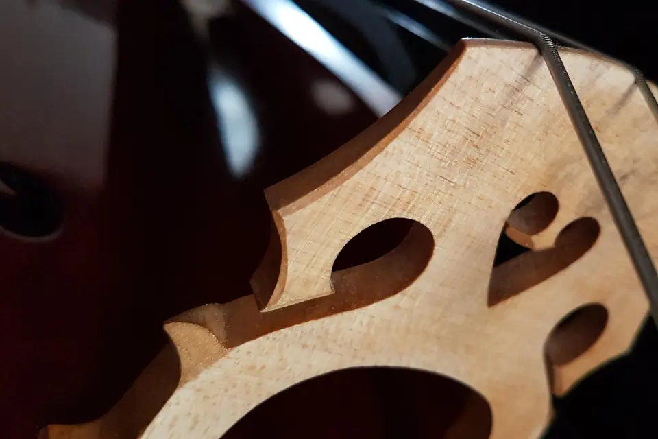 ÉphéméRêves — photo 8