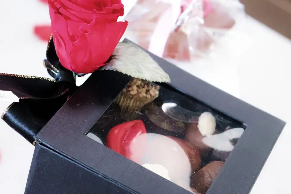 Le Sourire de Reims — photo 8