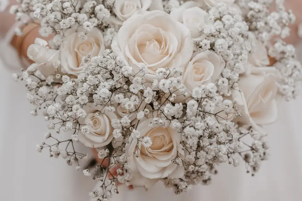 Emilie Colusso Photographe — photo 1