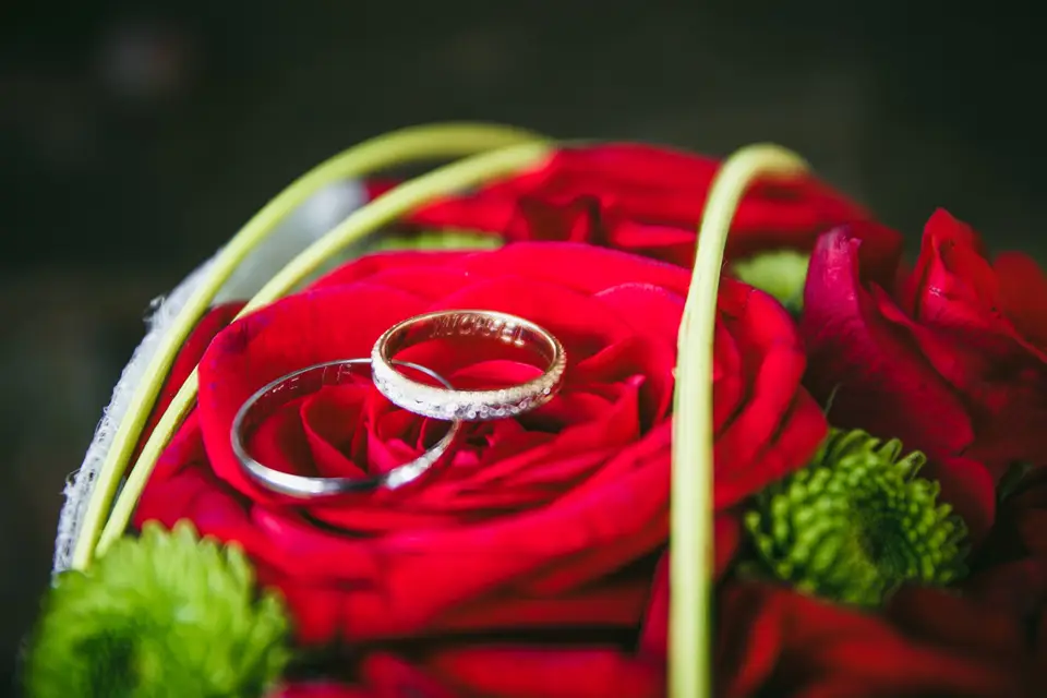 Photographe et Vidéaste 65 — photo 8