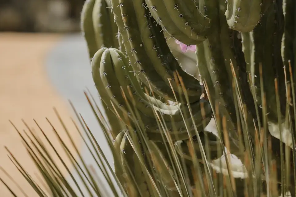 Emilie Colusso Photographe — photo 6