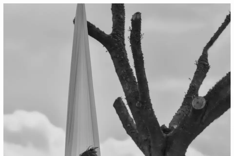 Marine Briens - Tissu aérien — photo 6