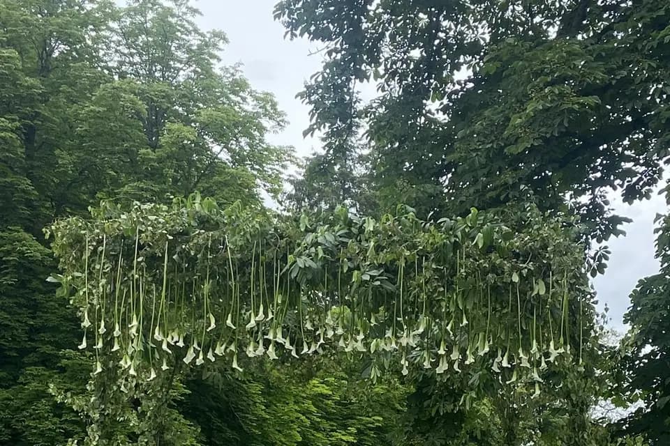 Les Ateliers Cortey — photo 2