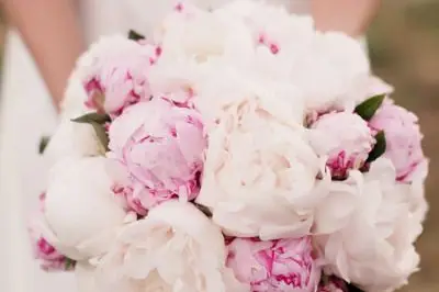 Hortense & Joséphine — photo 7