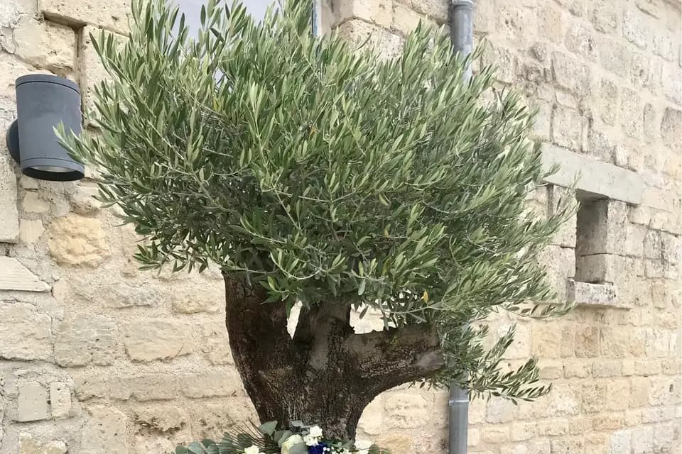 CGL Évènementiel — photo 5