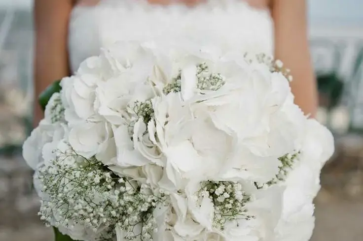 Hortense & Joséphine — photo 8