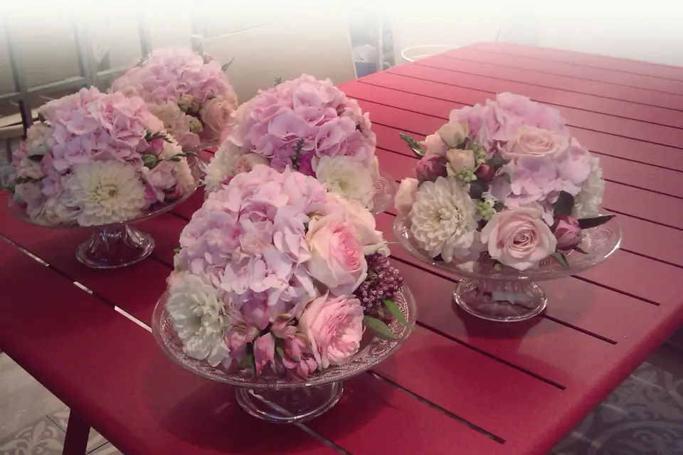 Hortense & Joséphine — photo 4