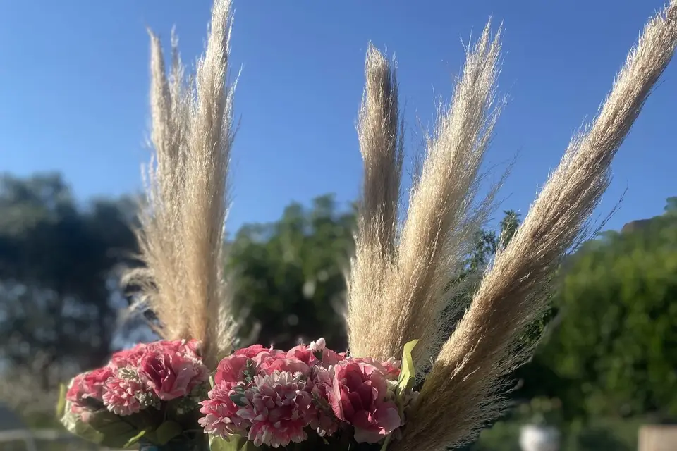 Joëlle Ceccarini — photo 1