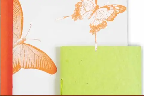 Caractère Paris — photo 1