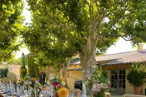 Fleurs d’O — photo 6