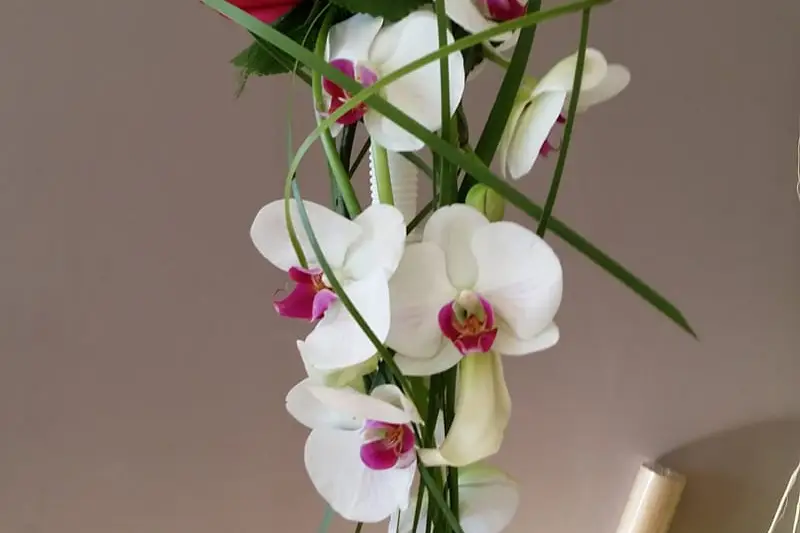 Art floral par Alexandra Mougdon — photo 6