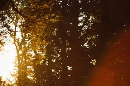 Gerard Brossard Cavagna — photo 1