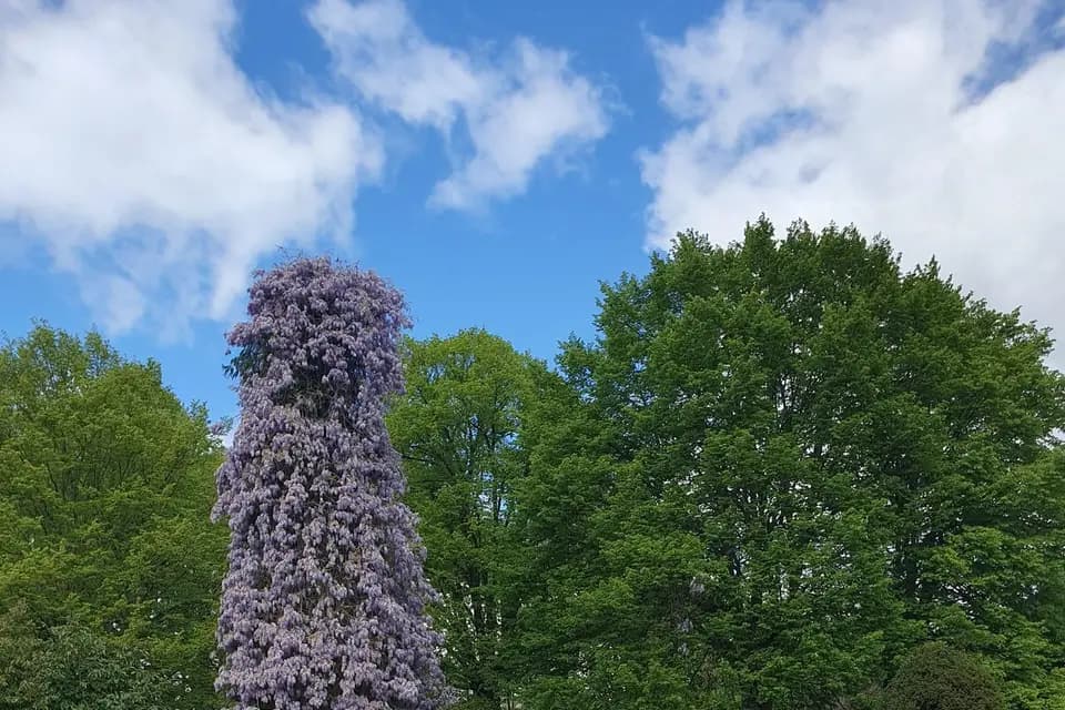 CombiYonneTrip — photo 7