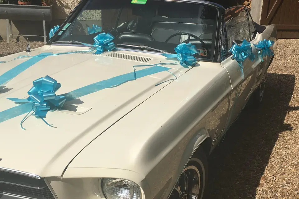 L'atelier Festif — photo 8