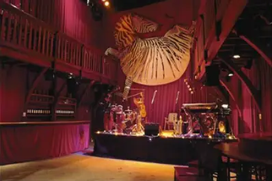 Le Zèbre de Belleville — photo 4