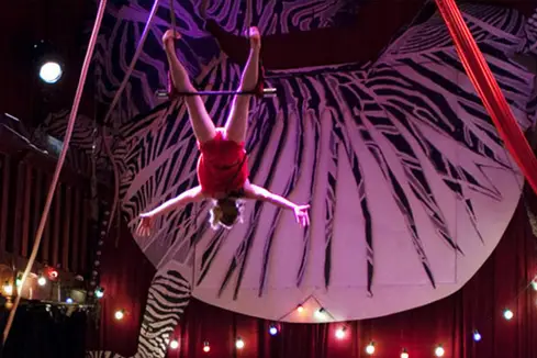 Le Zèbre de Belleville — photo 5