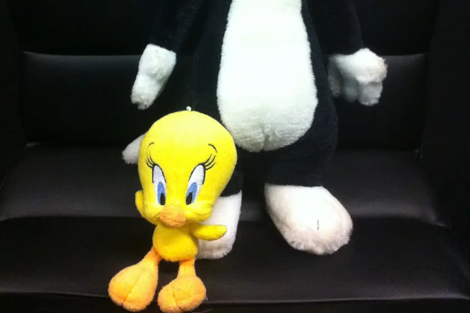 Titi et Grosminet on the road — photo 3