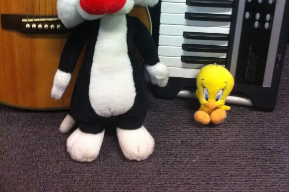 Titi et Grosminet on the road — photo 5